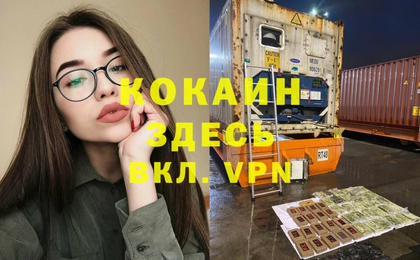 прущие грибы Белокуриха