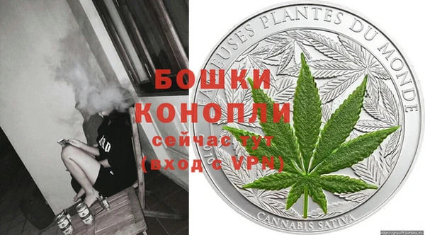 прущие грибы Белокуриха