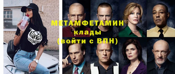 прущие грибы Белокуриха