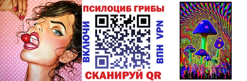 Галлюциногенные грибы Psilocybe  Семикаракорск 